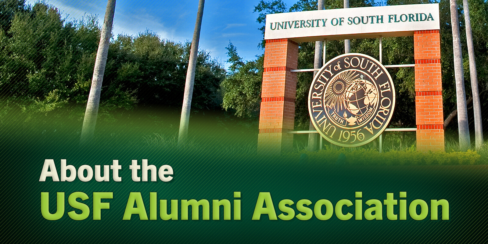 About the USF Alumni Association