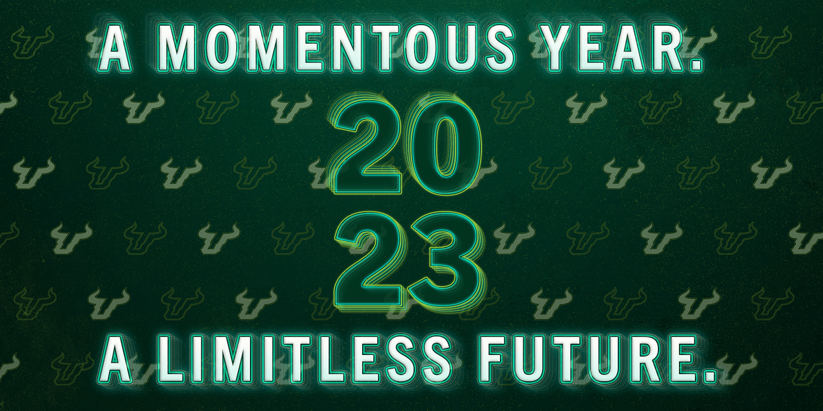 A Momentous Year. A Limitless Future.