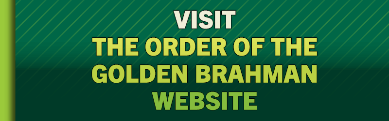 Visit the Order of the Golden Brahman Website